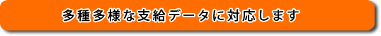 多種多様な支給データに対応します